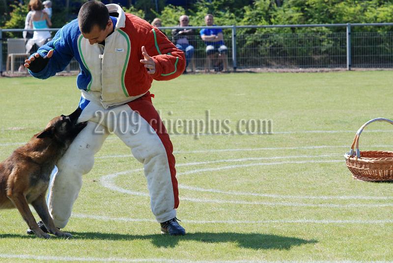3 EME SELECTIF 2009 GRANDE SYNTHE 191.jpg